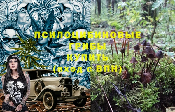 apvp Заводоуковск