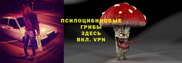 apvp Заводоуковск