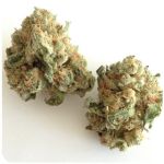Шишки "White Widow"  (Белая вдова)  Гидропоника -  Бошка VHQ в Ивангороде